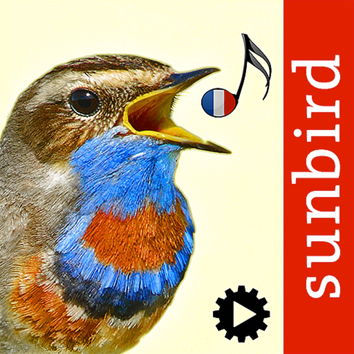 Chants d’oiseaux automatique app icon