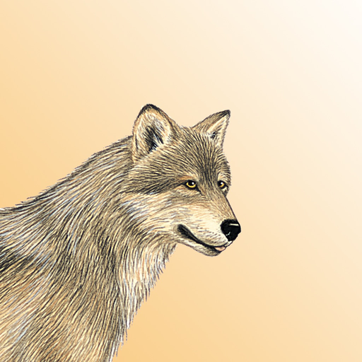 Mammals of North America LITE app icon