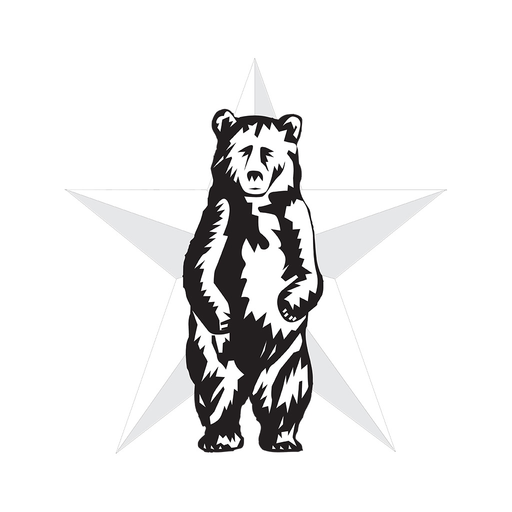 The Texarkana Gazette app icon