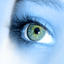 Paradigm Shift Magazine icon