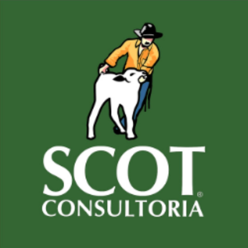 Scot Consultoria app icon