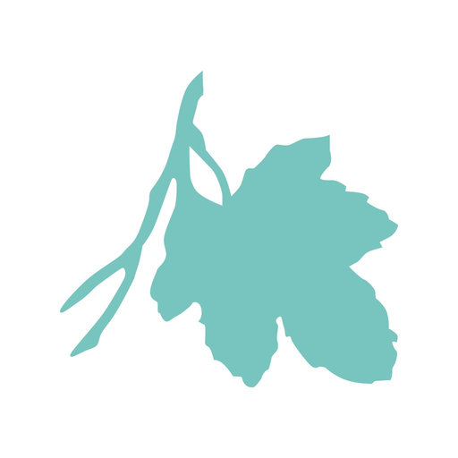 F.I.G. Financial app icon