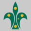 Scouts Oz icon