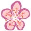 Hanami icon