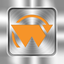 Walter Safety icon