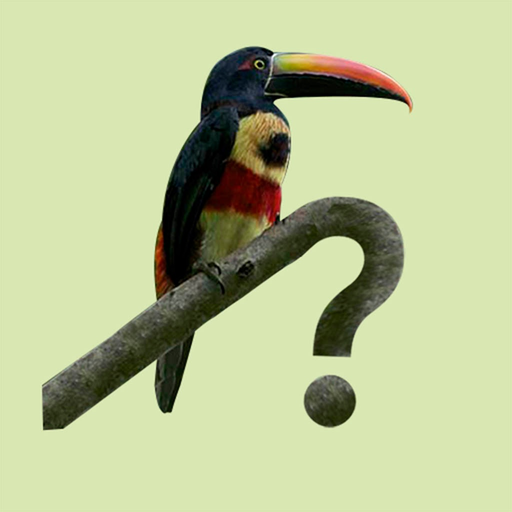 Costa Rica Birds app icon