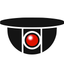 Motion Detect icon