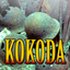 KOKODA icon