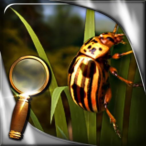 Treasure Island - The Golden Bug - Extended Edition - A Hidden Object Adventure app icon