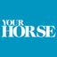 Your Horse icon