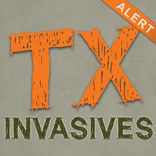 Texas Invaders app icon
