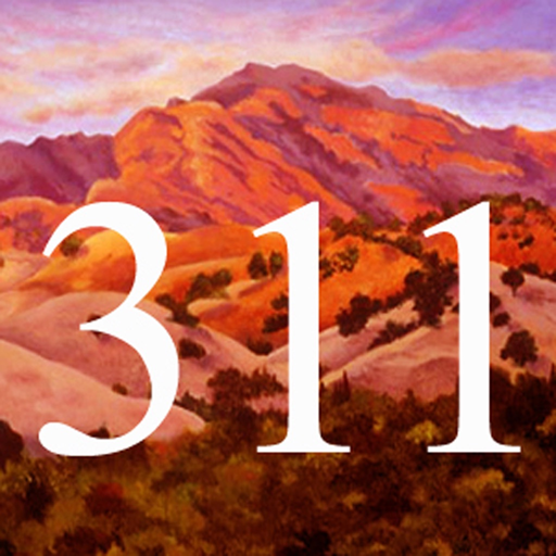 Art Gallery 311 app icon