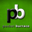 Pocket Buraco icon