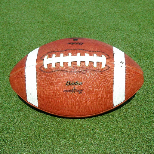 PlayMaker Pro app icon