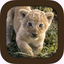Animal Sounds.! icon