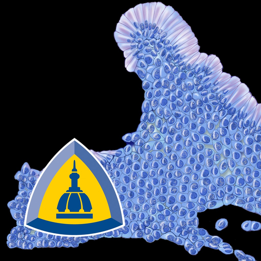 Pancreatic Cytopathology app icon