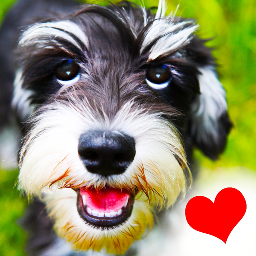 Dogs - Everything for Dog Lovers! app icon