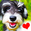 Dogs - Everything for Dog Lovers! icon