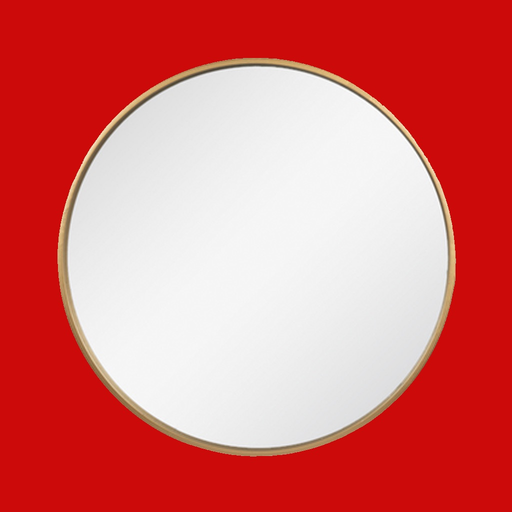 True Mirror! app icon