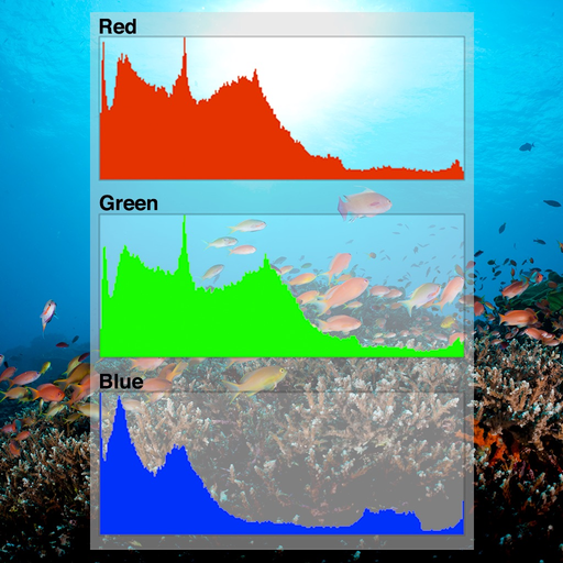 Histograms Explained app icon