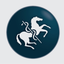 BEVA Equine Joint Injections icon