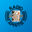 Apintie icon