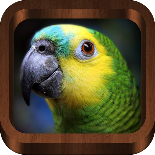 Bird Songs - Bird Call & Guide app icon