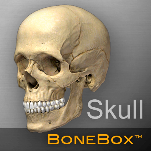 BoneBox™ - Skull Viewer app icon