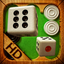 Backgammon (single game) icon