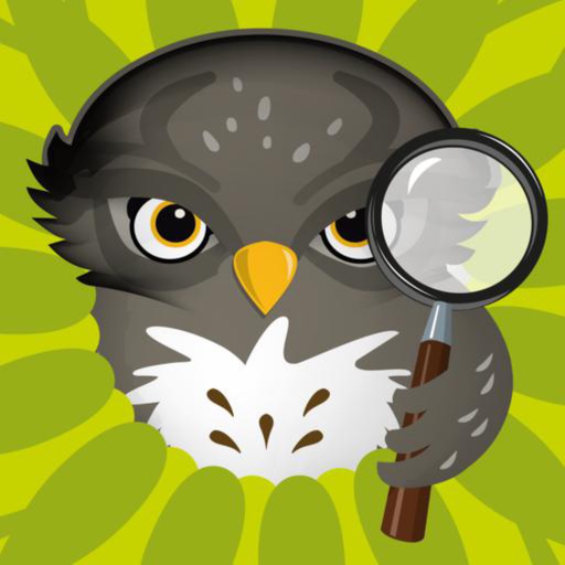 Baladavesnois app icon