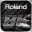 BK Partner icon
