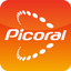 PicoralViewer icon