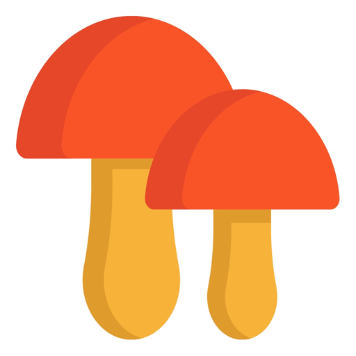 Amaniet.nl app icon