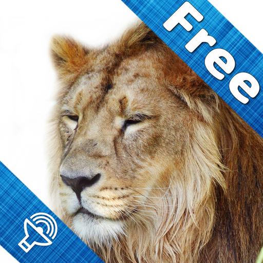Animal sounds and pictures, hear jungle sound in Kids zoo, Petting zoo with real images and sound app icon