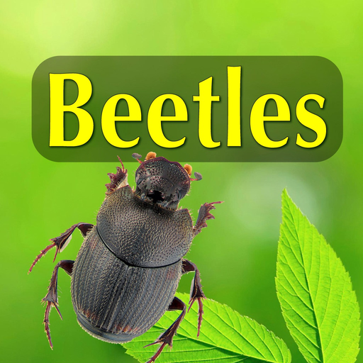 North American Beetles app icon