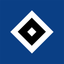 Hamburger SV icon
