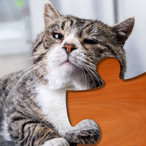 Cat Puzzles app icon