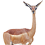 PictureArea icon
