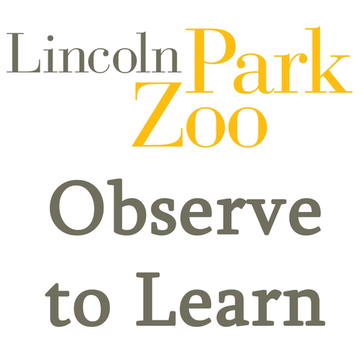 Observe to Learn: Exploring Animal Behavior app icon