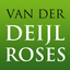 Deijlroses icon