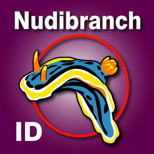 Nudibranch ID E Atlantic Med app icon