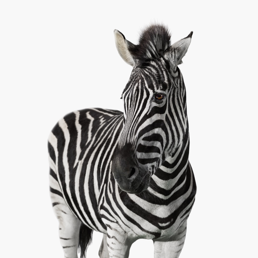 Investec Private Client app icon