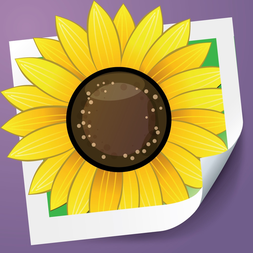 Photo Adjust Pro app icon