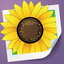 Photo Adjust Pro icon