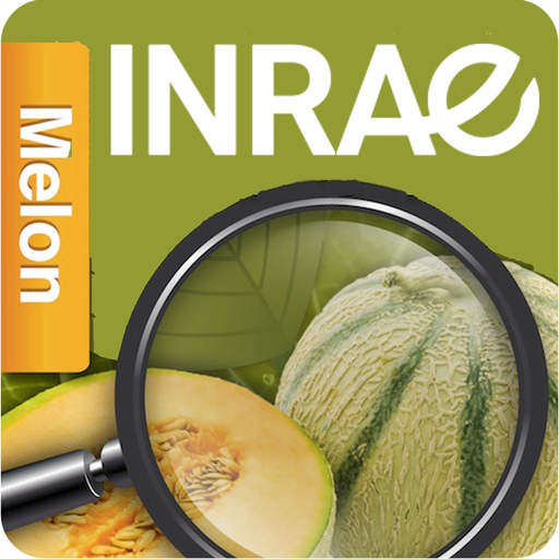 Di@gnoPlant Melon app icon
