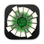 Chordex icon