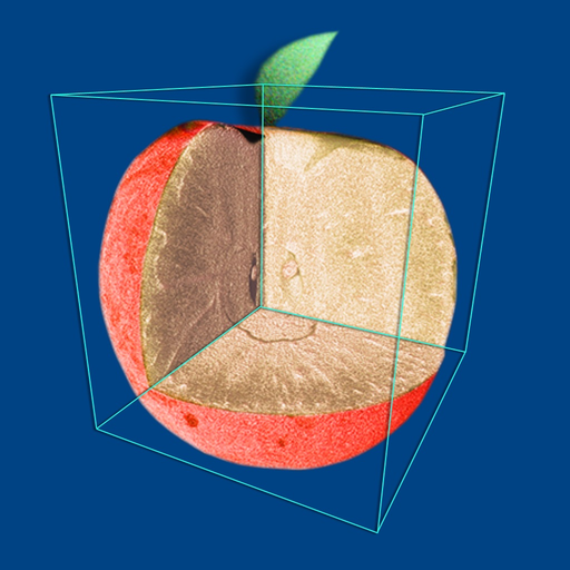 CTvox app icon