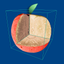 CTvox icon