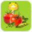 LearnChinese-vegetables fruit icon