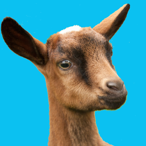 Buttermilk - The Bouncing Goat app icon